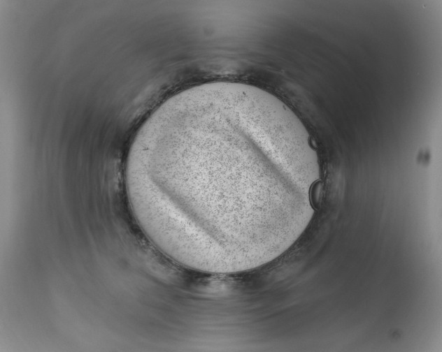 X0000112740612200909101517