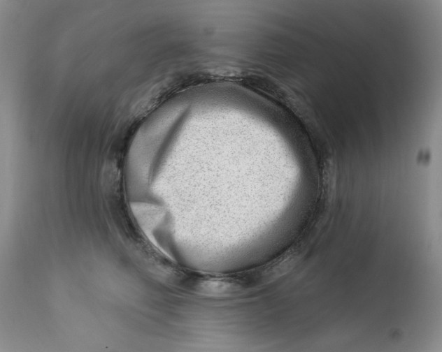 X0000112740614200909101517