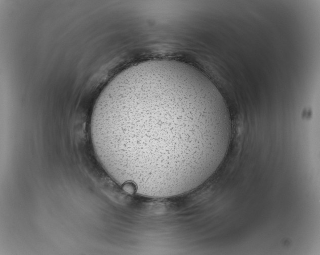 X0000112740615200909101517