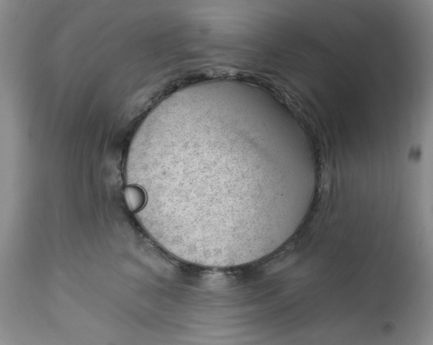 X0000112740616200909101517