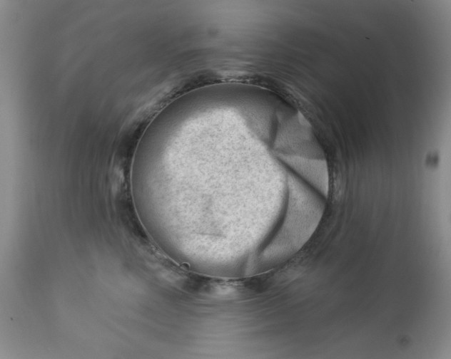 X0000112740618200909101517