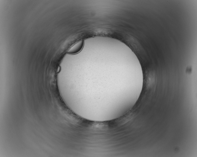 X0000112740619200909101517