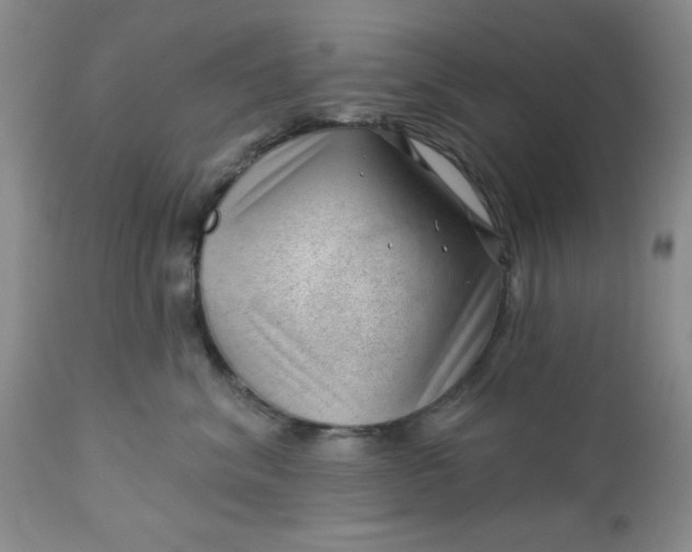 X0000112740620200909101517