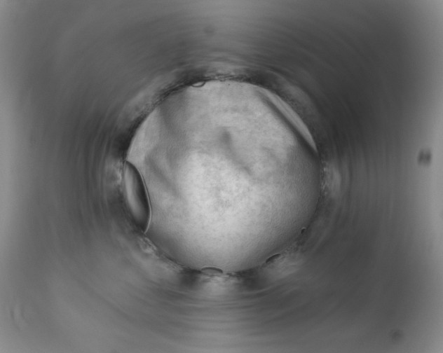 X0000112740621200909101517