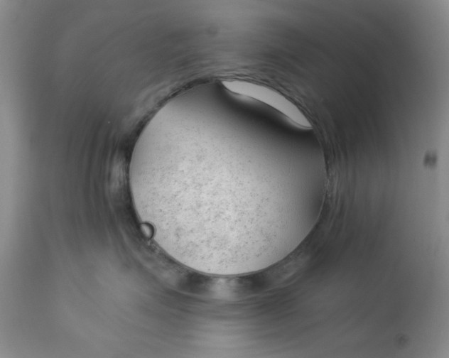 X0000112740623200909101517