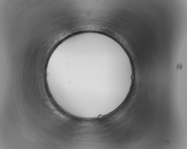 X0000112740625200909101516