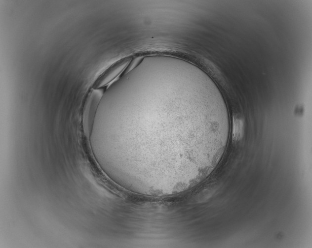 X0000112740627200909101516