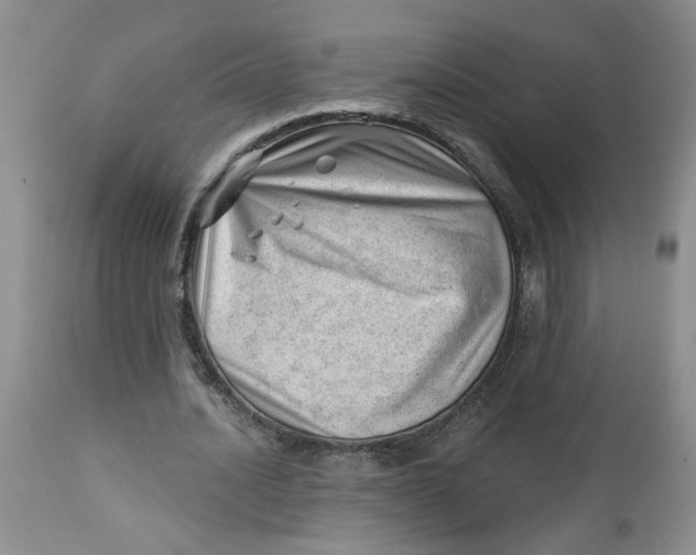 X0000112740628200909101516