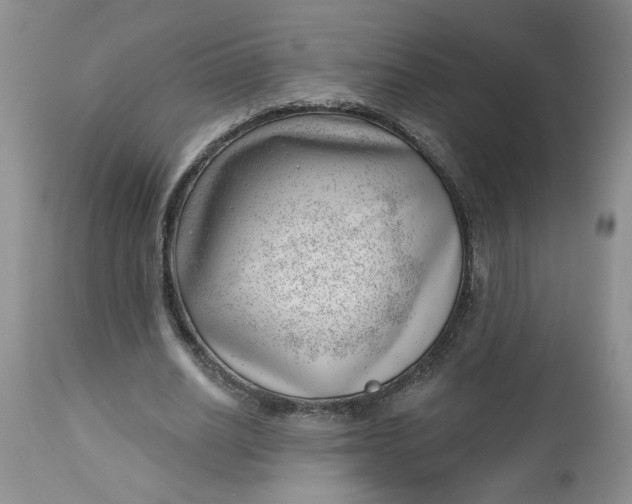 X0000112740630200909101516