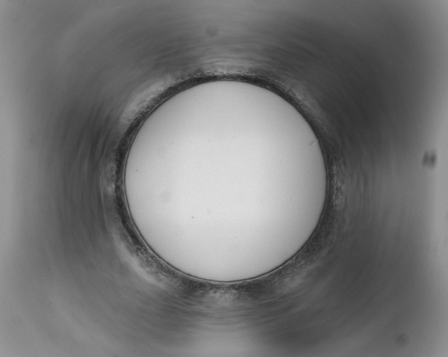 X0000112740631200909101516