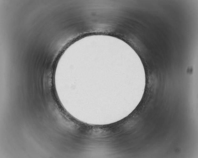 X0000112740632200909101516