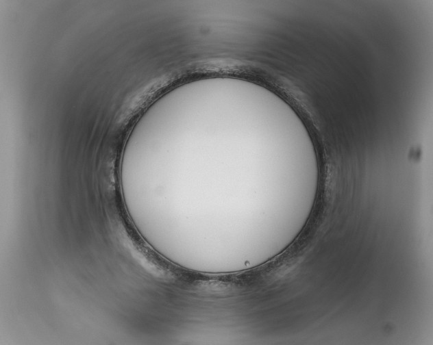 X0000112740633200909101516