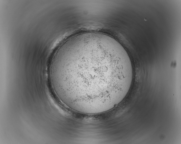 X0000112740634200909101516