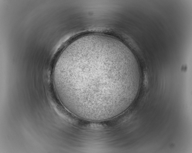 X0000112740636200909101516