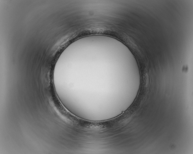 X0000112740638200909101516