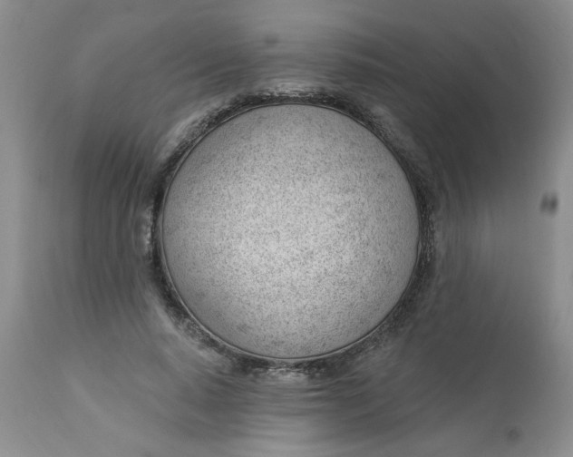 X0000112740640200909101516