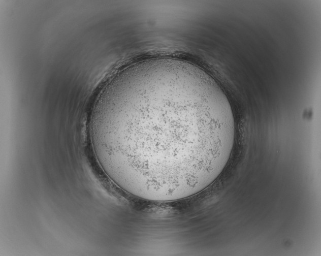 X0000112740642200909101516