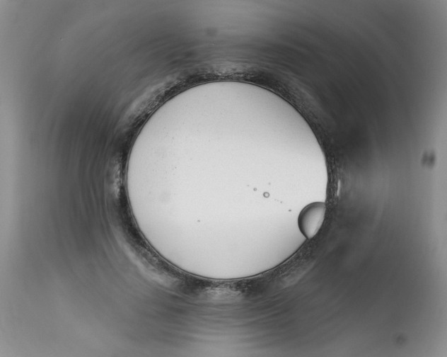 X0000112740644200909101517