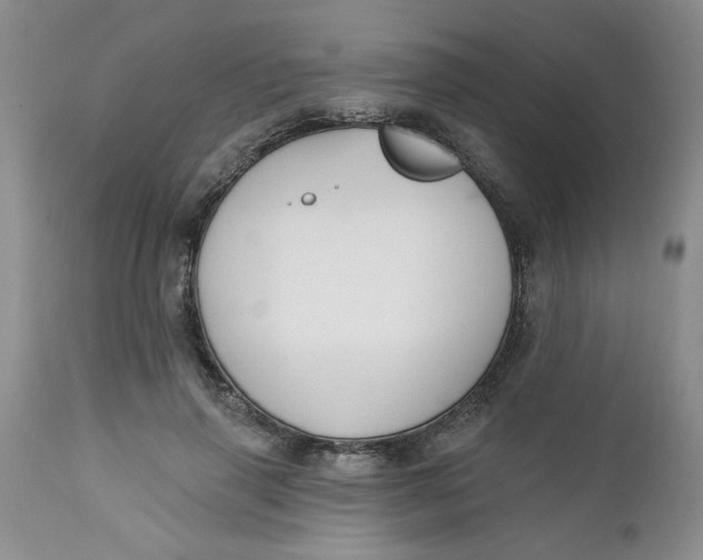 X0000112740645200909101517