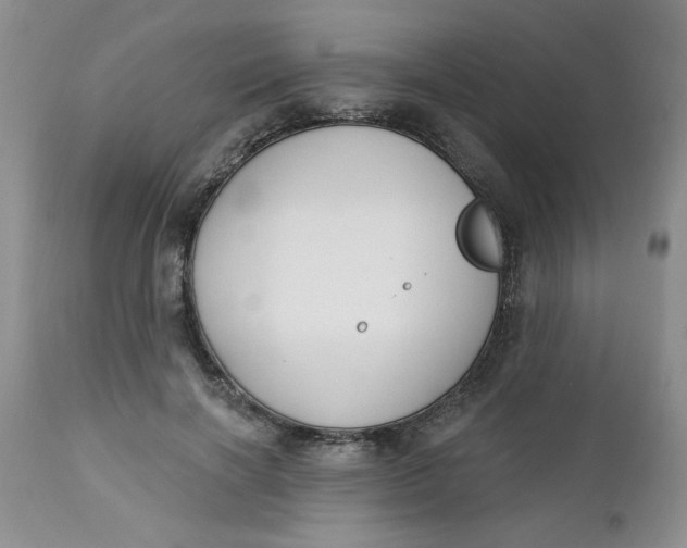 X0000112740646200909101517