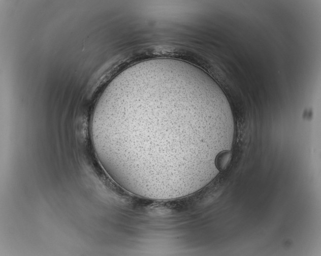 X0000112740648200909101517