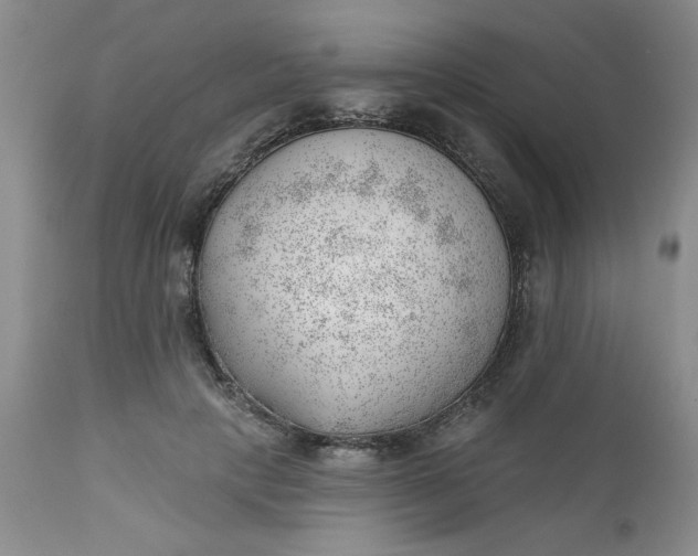 X0000112740649200909101517