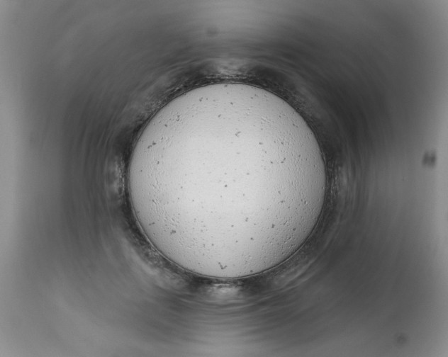 X0000112740651200909101517