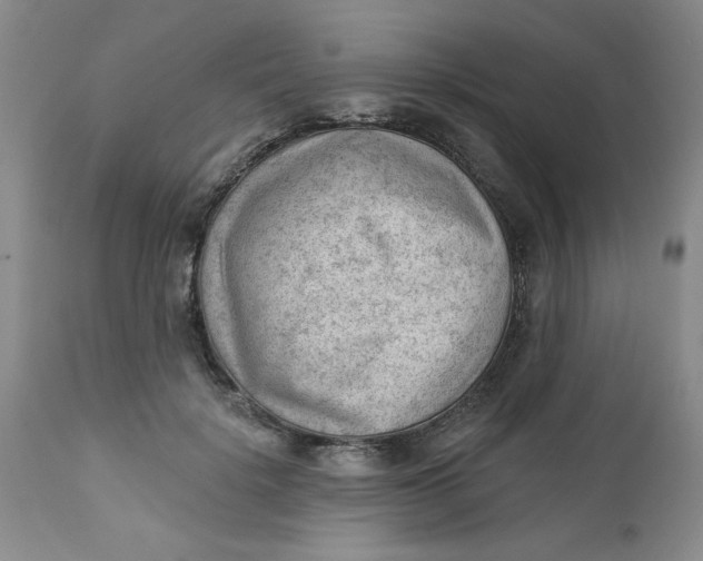 X0000112740652200909101517