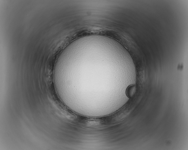 X0000112740653200909101517