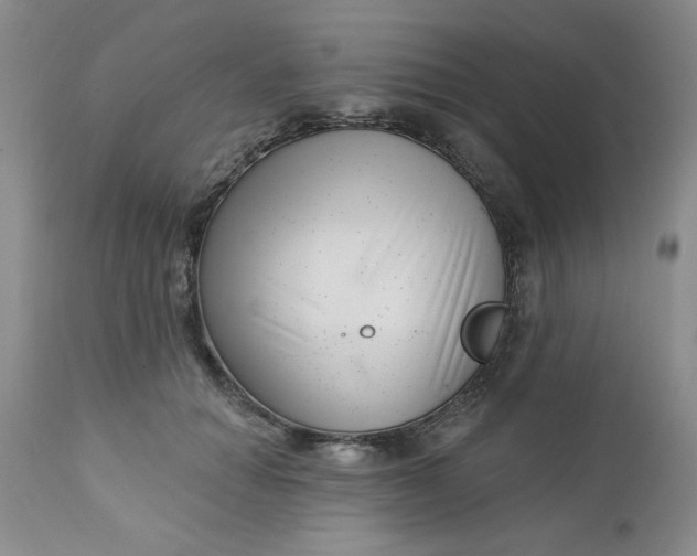 X0000112740654200909101517