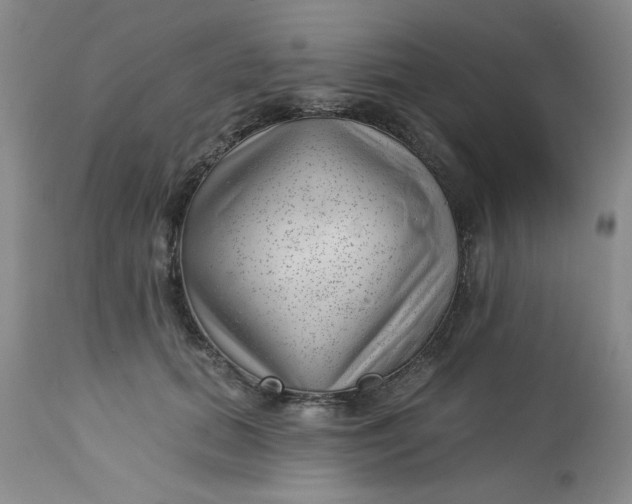 X0000112740655200909101517