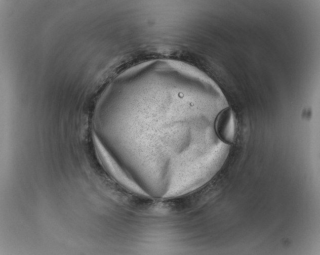 X0000112740656200909101517