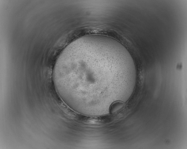 X0000112740657200909101517