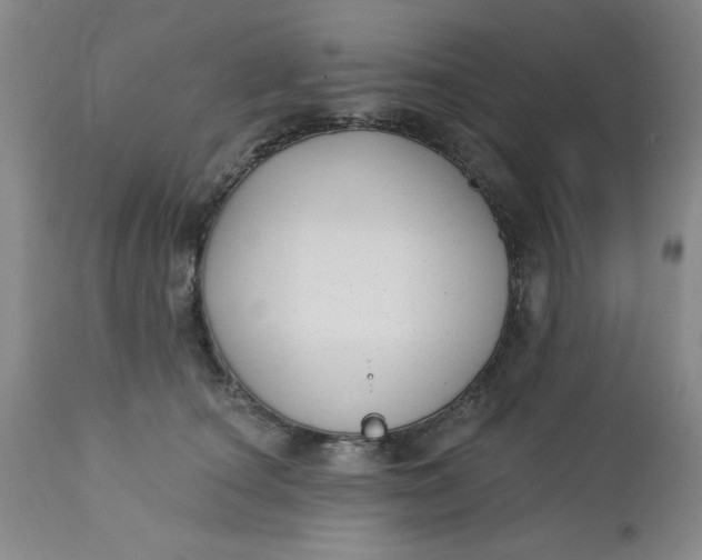 X0000112740660200909101517