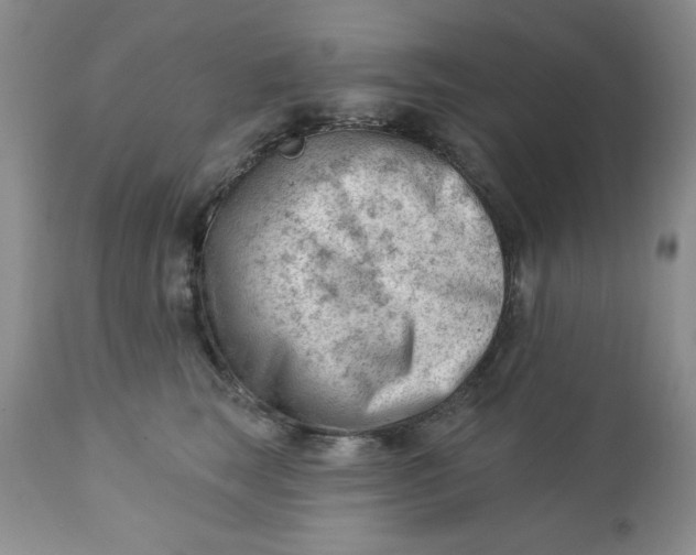 X0000112740663200909101517