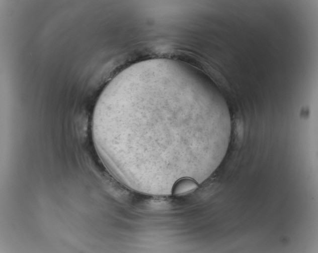 X0000112740668200909101517