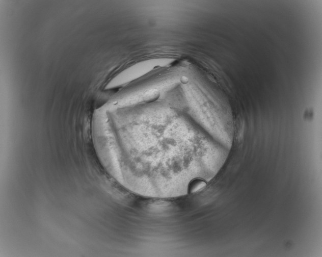 X0000112740669200909101517