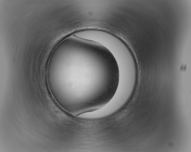 X0000112740673200909101516