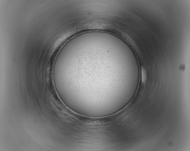 X0000112740675200909101516