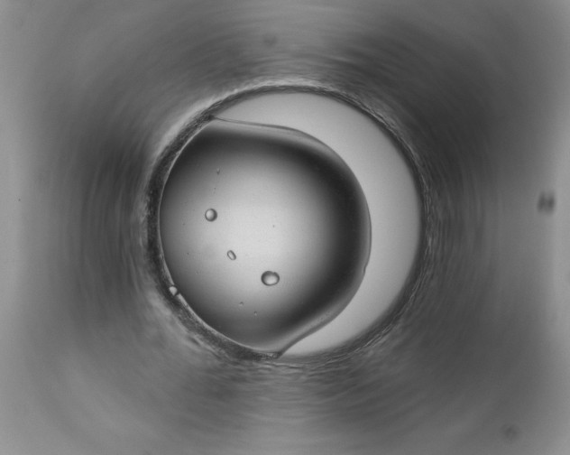 X0000112740676200909101516