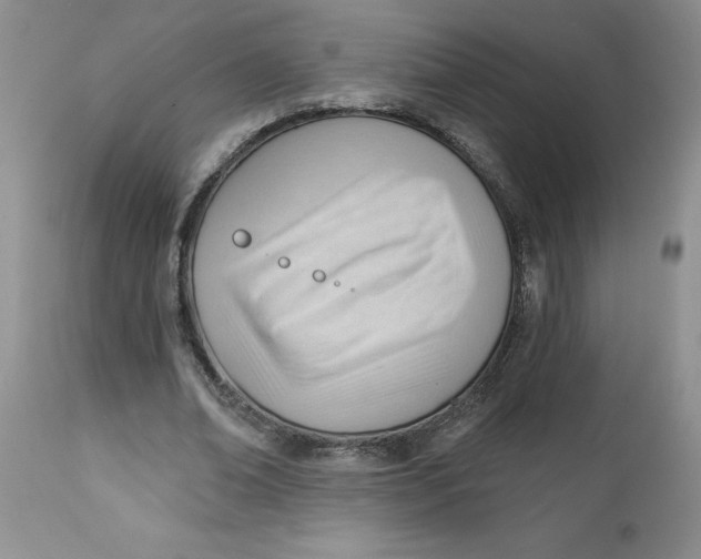 X0000112740678200909101516