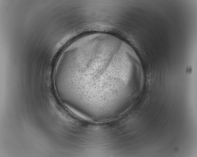 X0000112740679200909101516