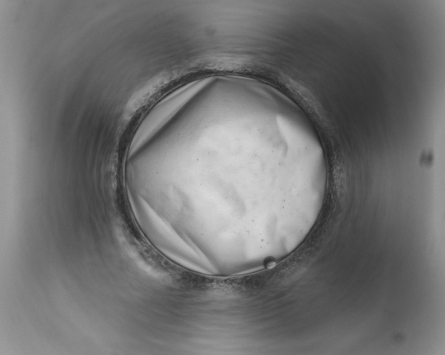 X0000112740682200909101516