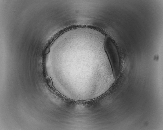 X0000112740684200909101516