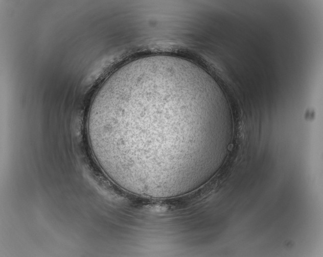 X0000112740687200909101516