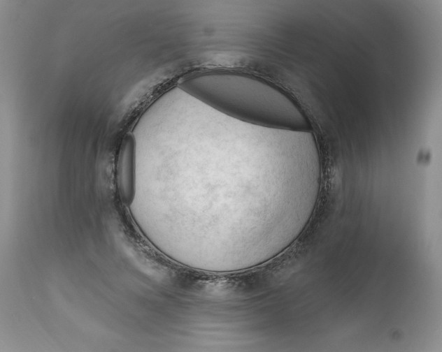 X0000112740688200909101516