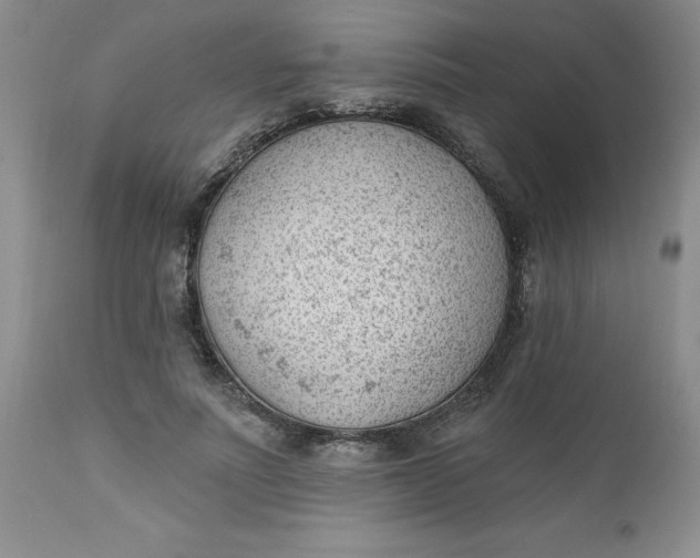 X0000112740691200909101516