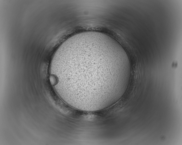 X0000112740695200909101516