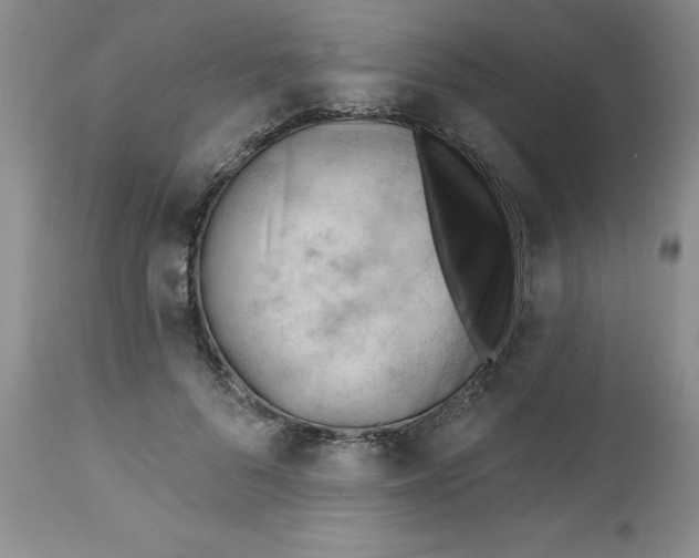 X0000112740696200909101516