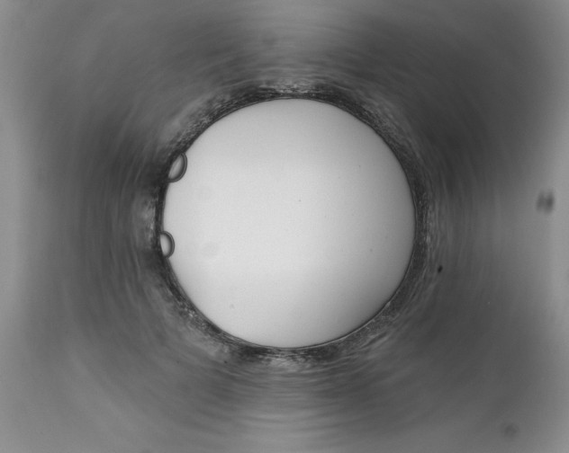 X0000112740697200909101516